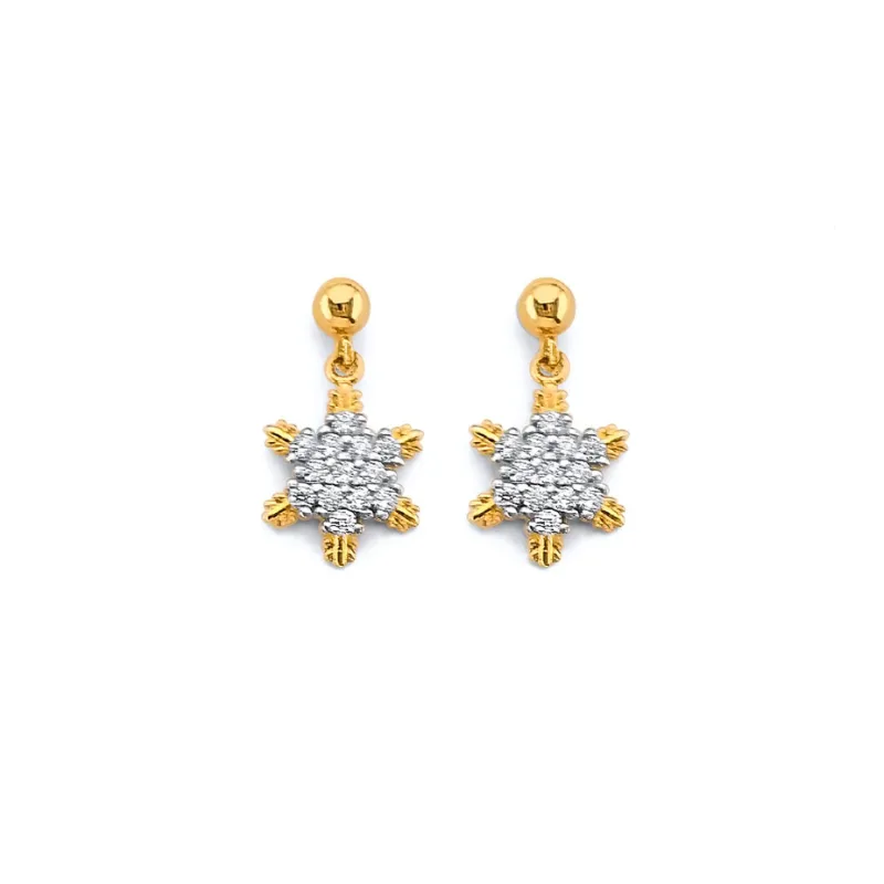 14KY CZ Hanging Star Push Back Earring