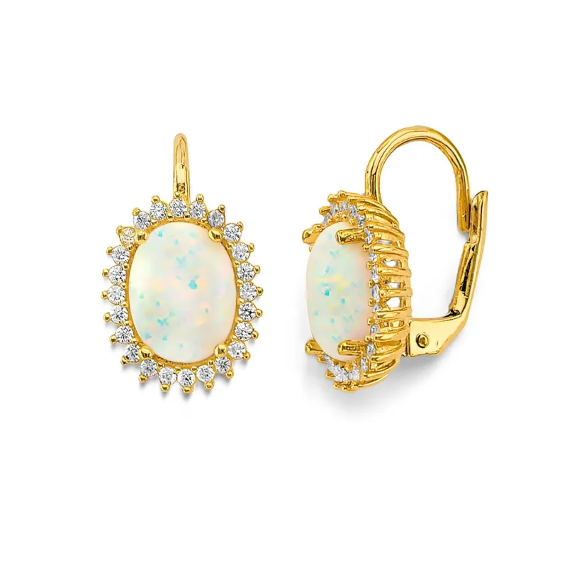 14KY CZ Opal Earring / Set