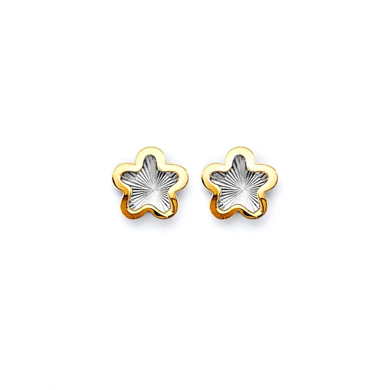 14K 2T D.C. Star Push Back Earring