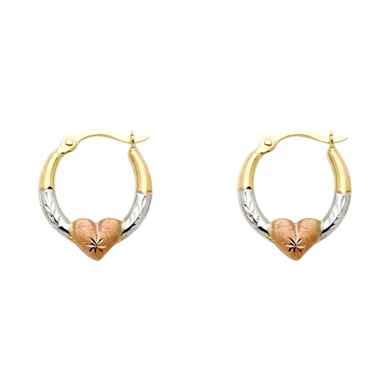 14K 3C SM F-EARRING WITH HRT